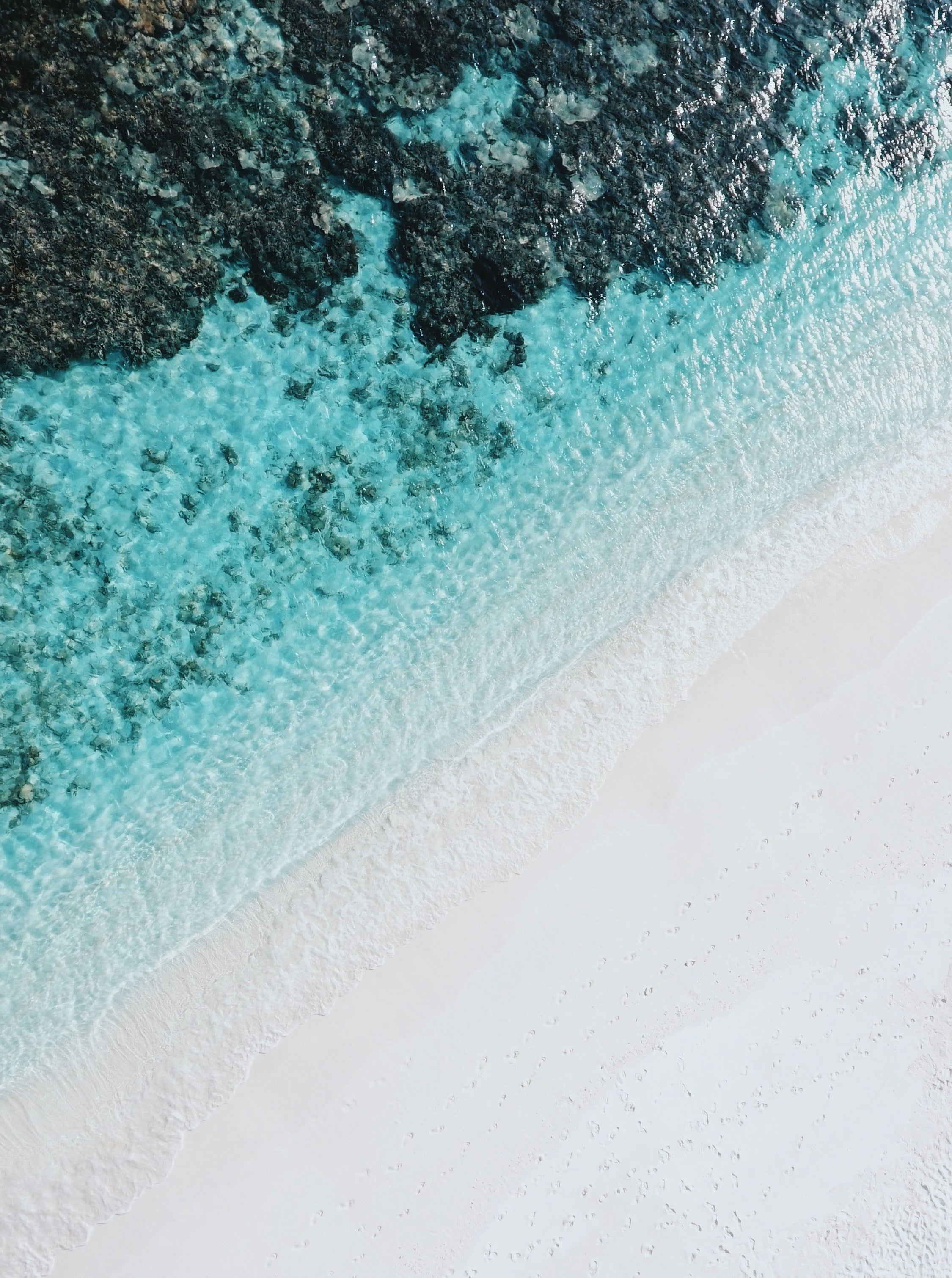 syd-sujuaan-FywWHwkizaQ-unsplash.jpg